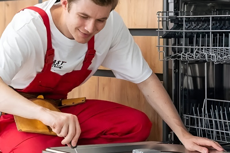 Dishwasher repair in Naranja