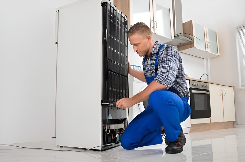 Refrigerator repair in Naranja